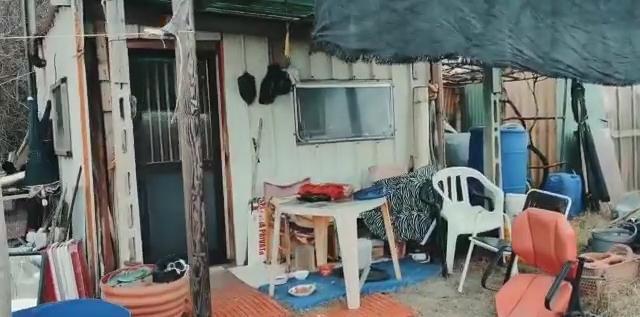Degrado in pineta Il sindaco chiama le forze dell’ordine 