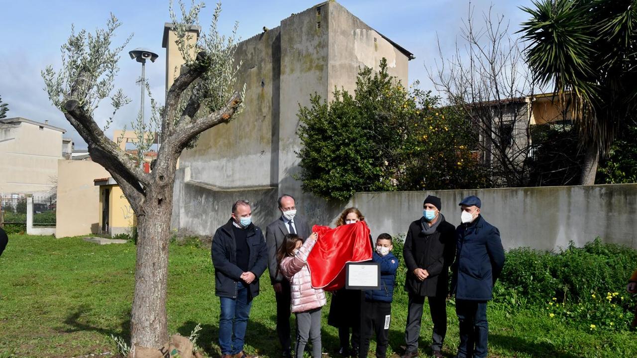 Via Solferino, un ulivo contro l’indifferenza