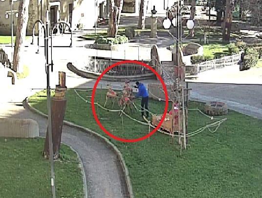 Danneggia gli addobbi natalizi: denunciato