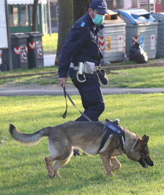 Marijuana ed eroina, blitz della polizia locale al quartiere Gad di Ferrara