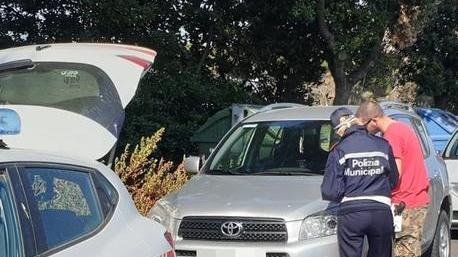 Sul lungomare con il cane libero o in bicicletta 184 multe dei vigili
