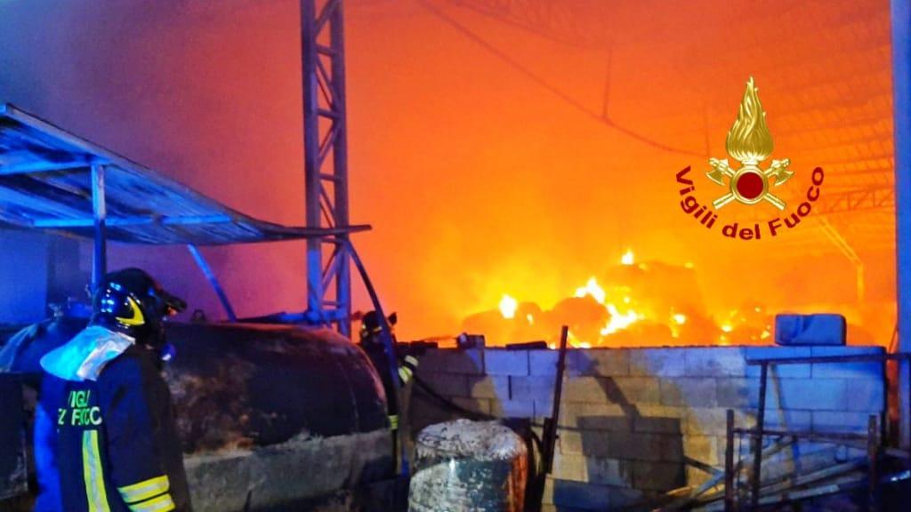 Dramma a Villaurbana: incendio doloso in una fattoria, uccisi tutti gli animali 