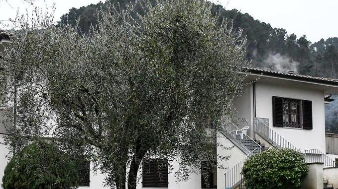 Ragazzo impiccato, la procura apre un’inchiesta