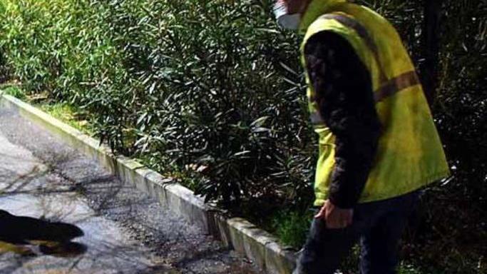 Movida a Carrara, ancora ricoverato il ferito. Il 15enne aveva anche pezzo di marmo