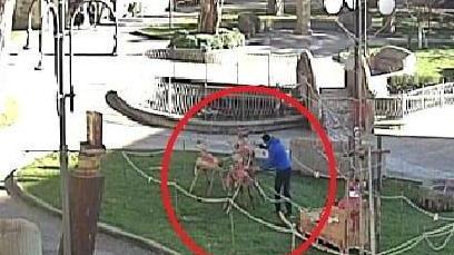 Devasta gli addobbi natalizi Denunciato un 33enne