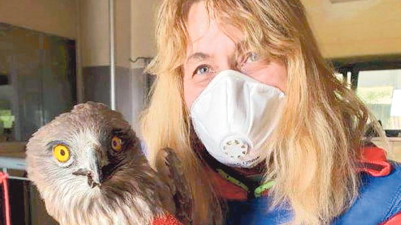 Salvataggio dei cuccioli a rischio: «O i Comuni pagano o ci fermiamo»