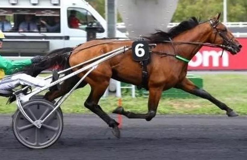 L’italiano Face Time Bourbon strepitoso