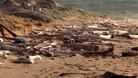 Spiagge, un flash mob per liberare Porto Ferro e Platamona dalla plastica 