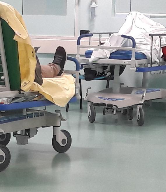 Ferrara, il pronto soccorso perde sei medici: vanno nel Veneto e in altre regioni 