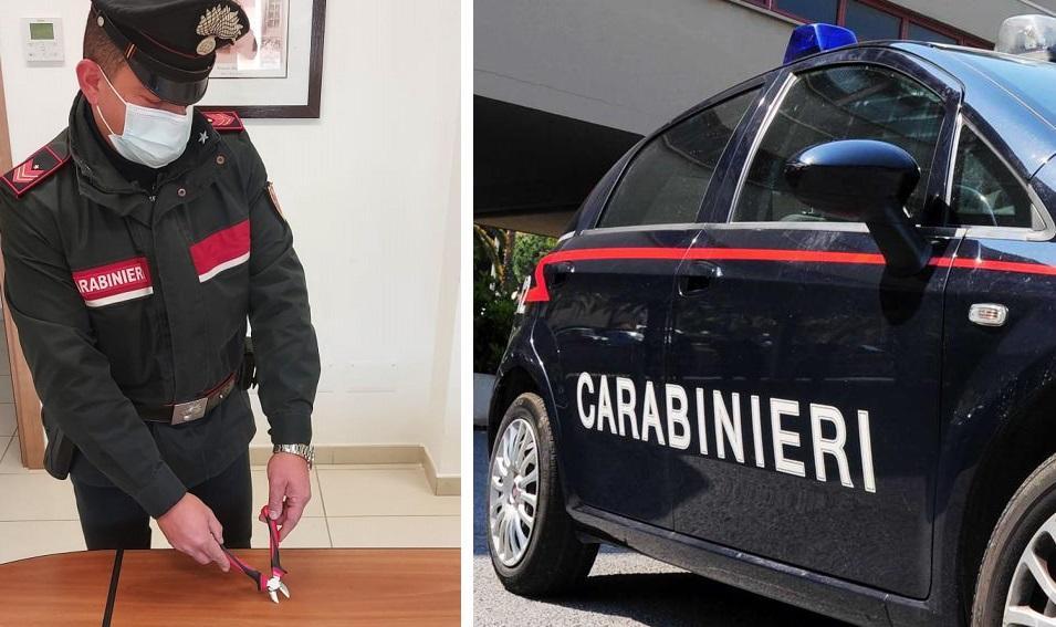 La tronchese trovata in possesso della donna