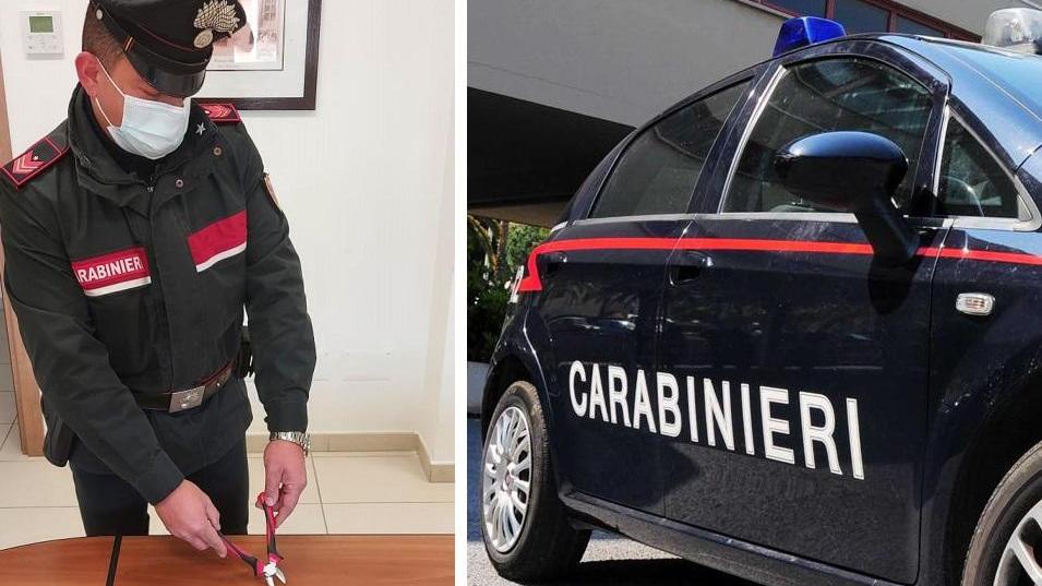 La tronchese trovata in possesso della donna