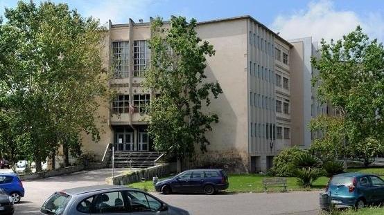 Si arrampica sul muro e molesta i vicini