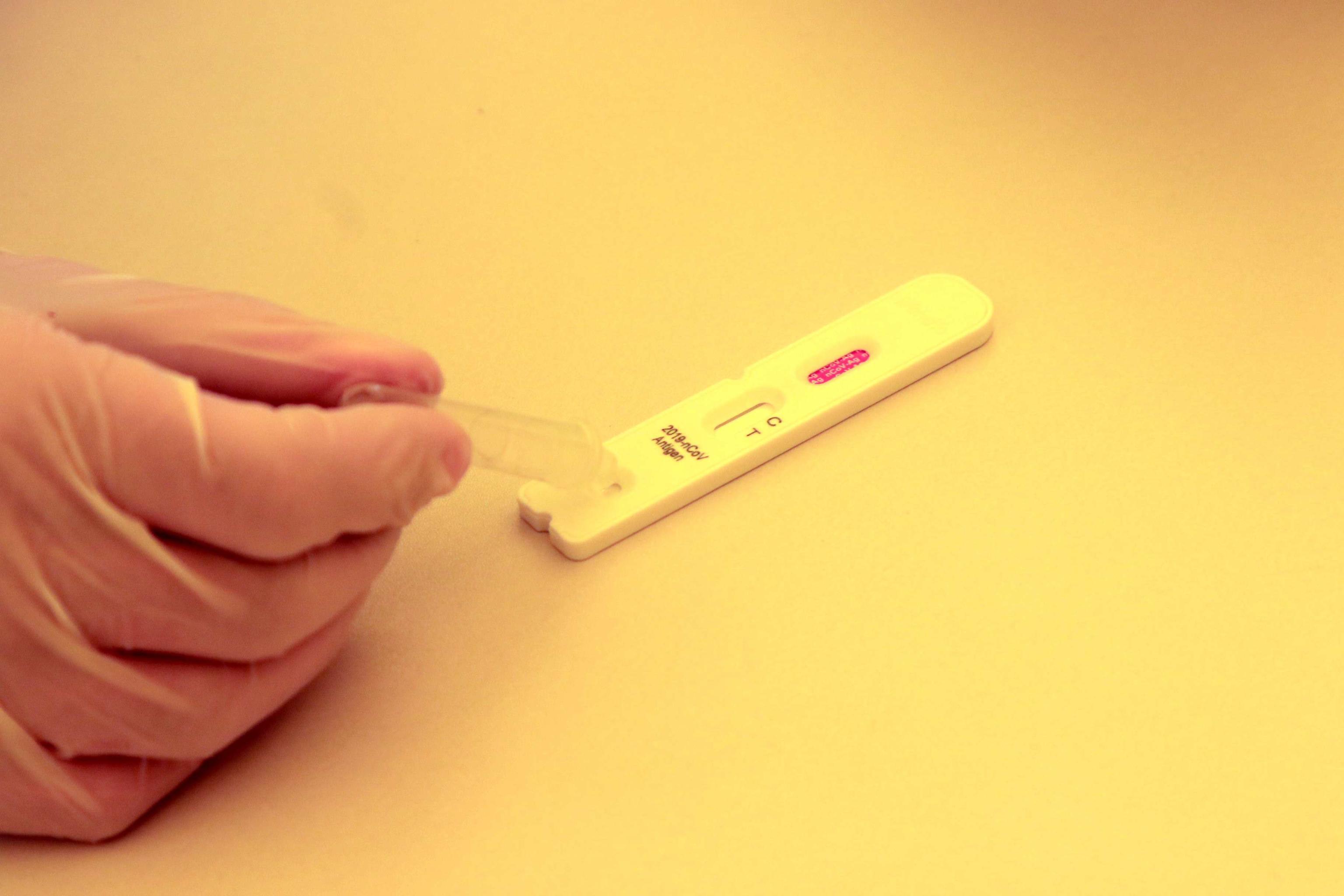 Modena, tamponi rapidi in farmacia, avvio flop Gazzetta di Modena