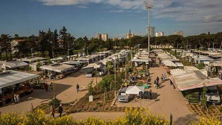 «Mercato, d’estate potrebbe svolgersi nel pomeriggio»
