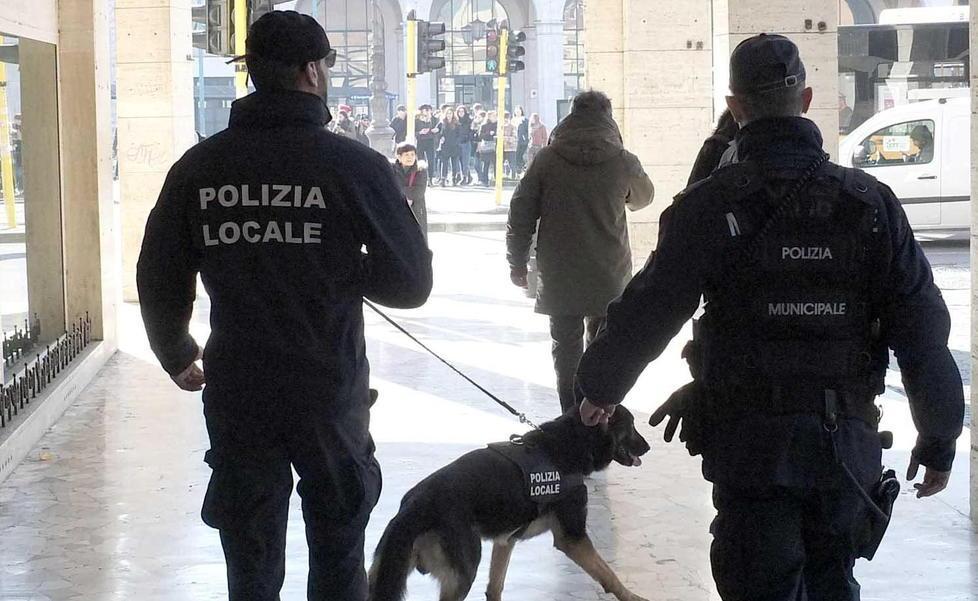Picchi e Basta (Pd) all’attacco, Bonanno accusata di mentire 