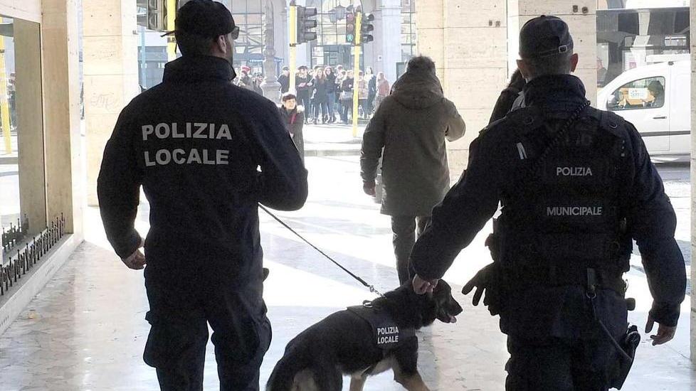 Picchi e Basta (Pd) all’attacco, Bonanno accusata di mentire
