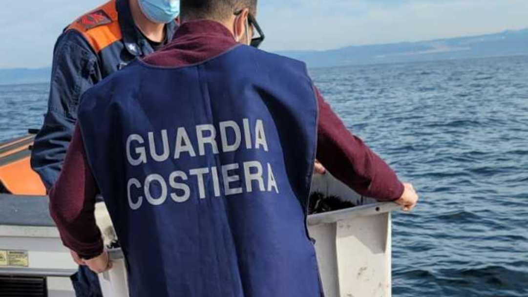 Pescava ricci di mare, giovane multato