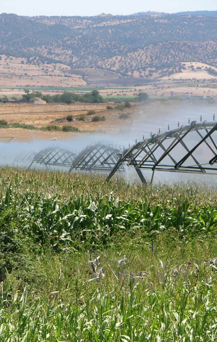 Consorzio, si va verso il Contratto di fiume 