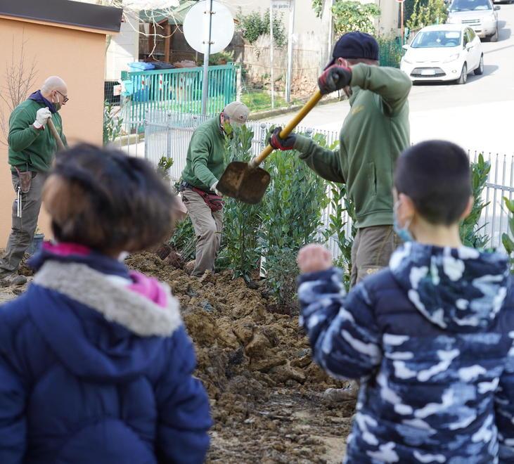 La messa a dimora degli alberi nella primaria di Santo Pietro Belvedere (foto Franco Silvi)