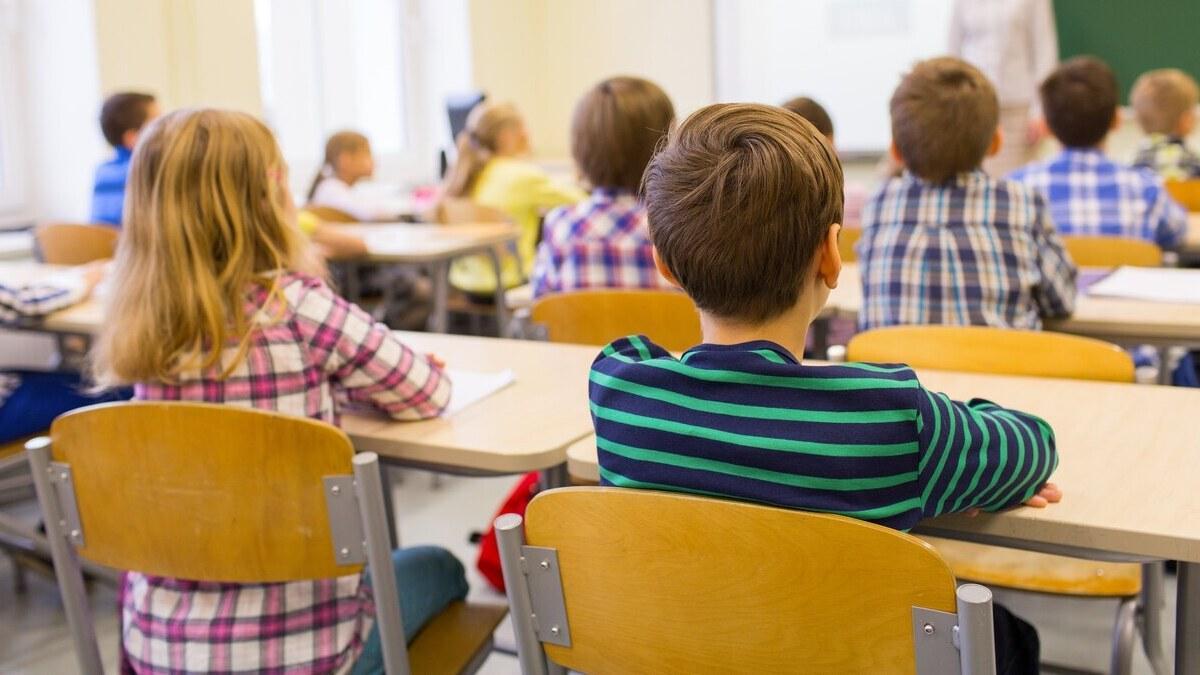 In pensione 127 insegnanti tra Lucca, Piana e Garfagnana: l'allarme dei sindacati