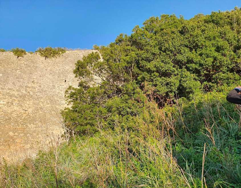 Tolta la folta vegetazione riappariranno le mura Grazie al Comitato Pirati