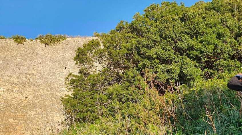 Tolta la folta vegetazione riappariranno le mura Grazie al Comitato Pirati