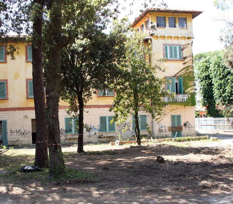 La Versilia di Bindi, tra affari e sentimento «La Canniccia e la mia prima fidanzata»