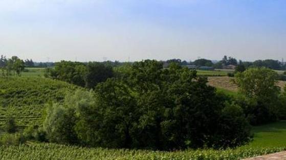 «Azzeriamo la Tari per gli agriturismi»