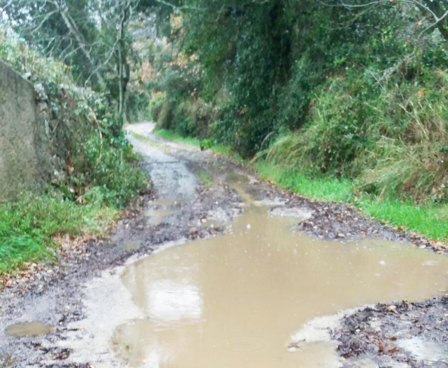 Strade rurali impercorribili aziende e famiglie in rivolta 