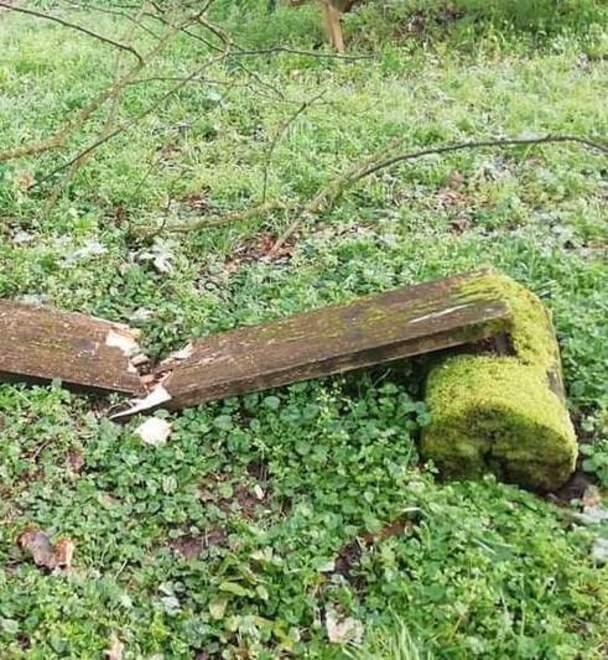 Distruzione frutto di stupidità dei violenti 