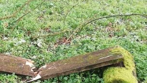 Distruzione frutto di stupidità dei violenti