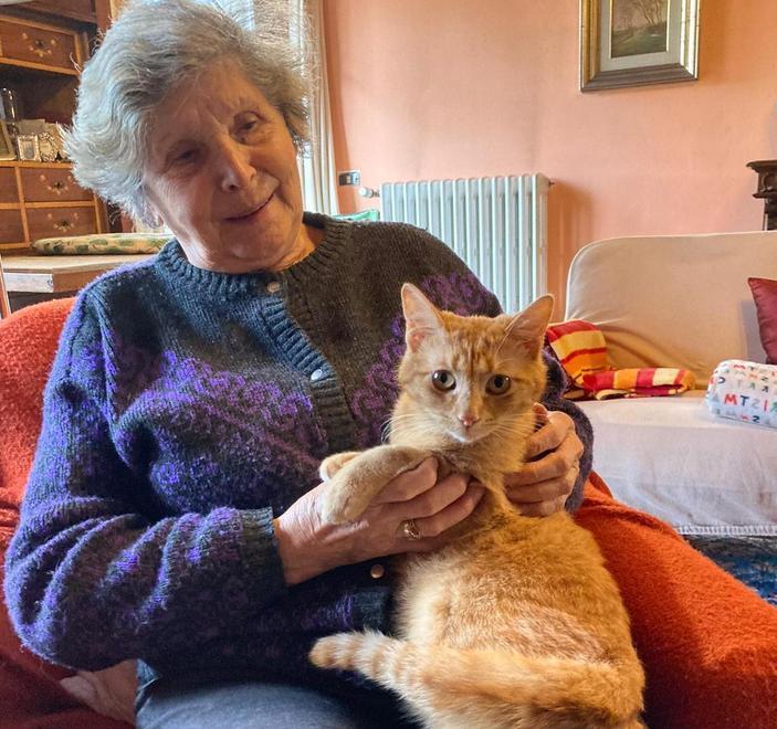 Tutta Chiesina si mobilita per ritrovare il gatto Rubio