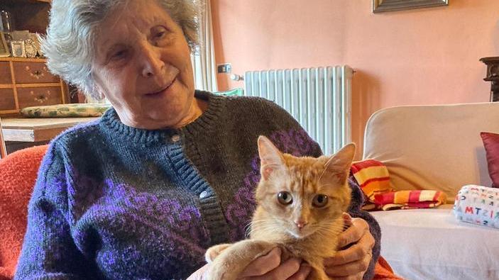 Tutta Chiesina si mobilita per ritrovare il gatto Rubio