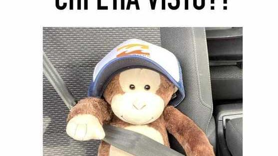 Sveva cerca George il suo amico inseparabile