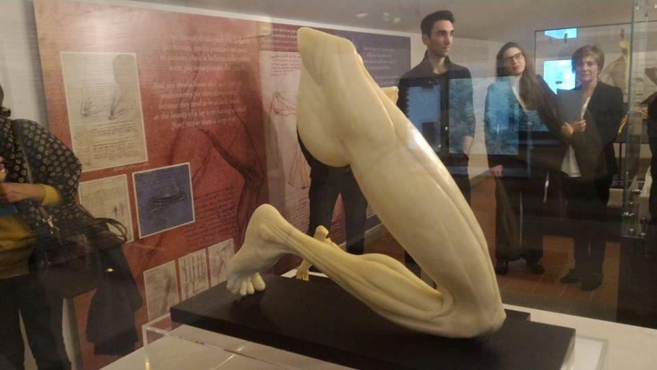 Al museo di Vinci quattro appuntamenti per approfondire i suoi studi e le sue scoperte