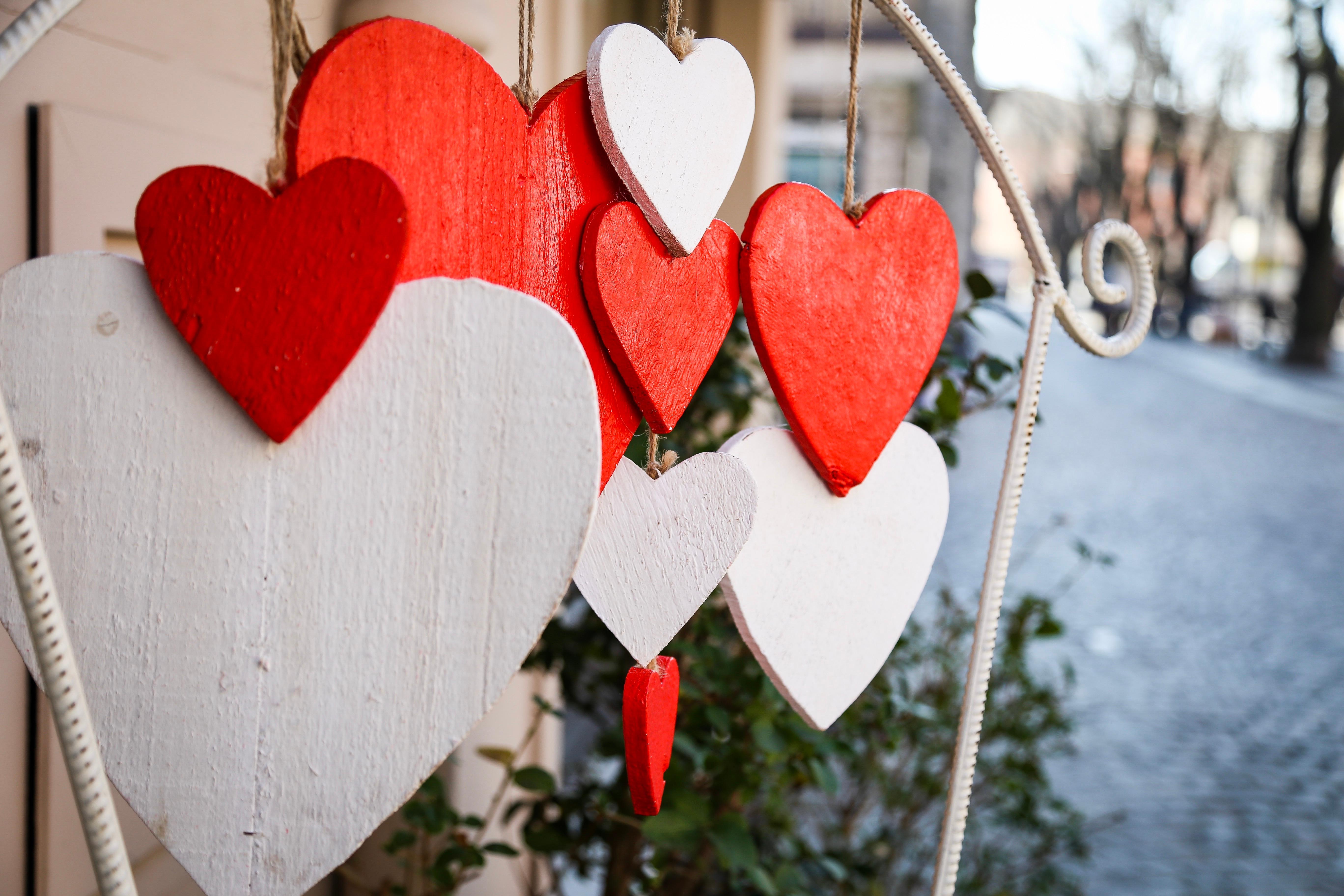 Cuori per San Valentino (foto D. Camola)