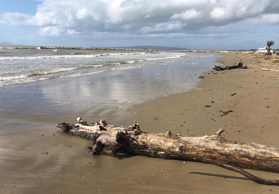La mareggiata mangia la spiaggia I lavori a Senzuno partono entro aprile 