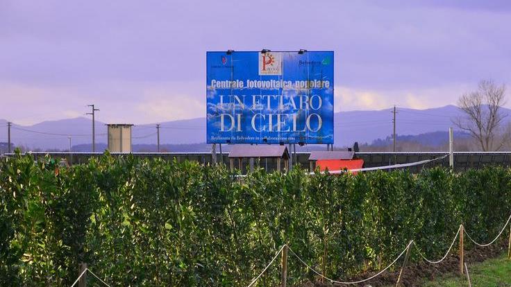 Le 112 piante di alloro del Natale diventano una siepe lungo la Fila