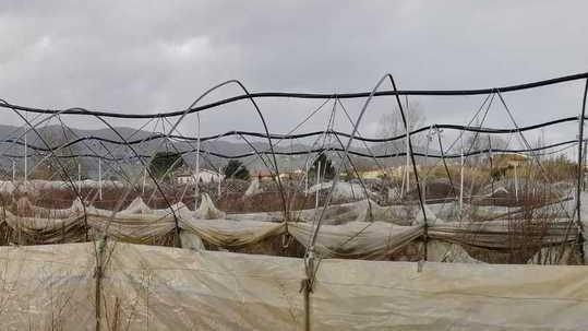 Iniziata la bonifica delle serre abusive