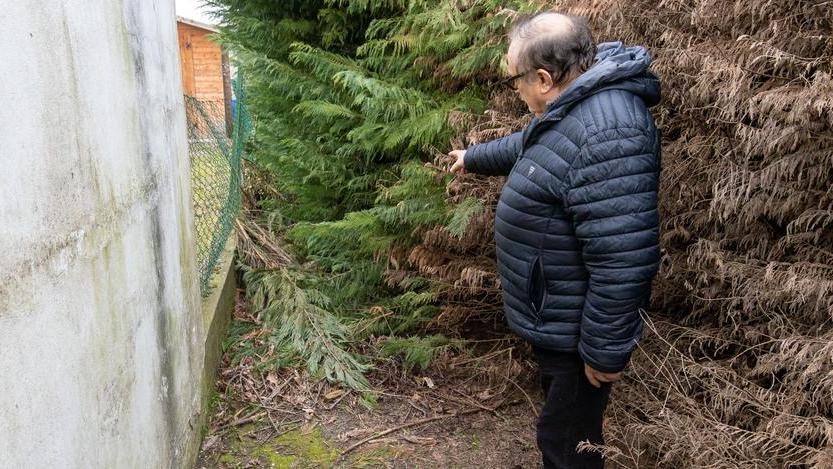 Residenti esasperati «La siepe in casa e nessuno fa niente»