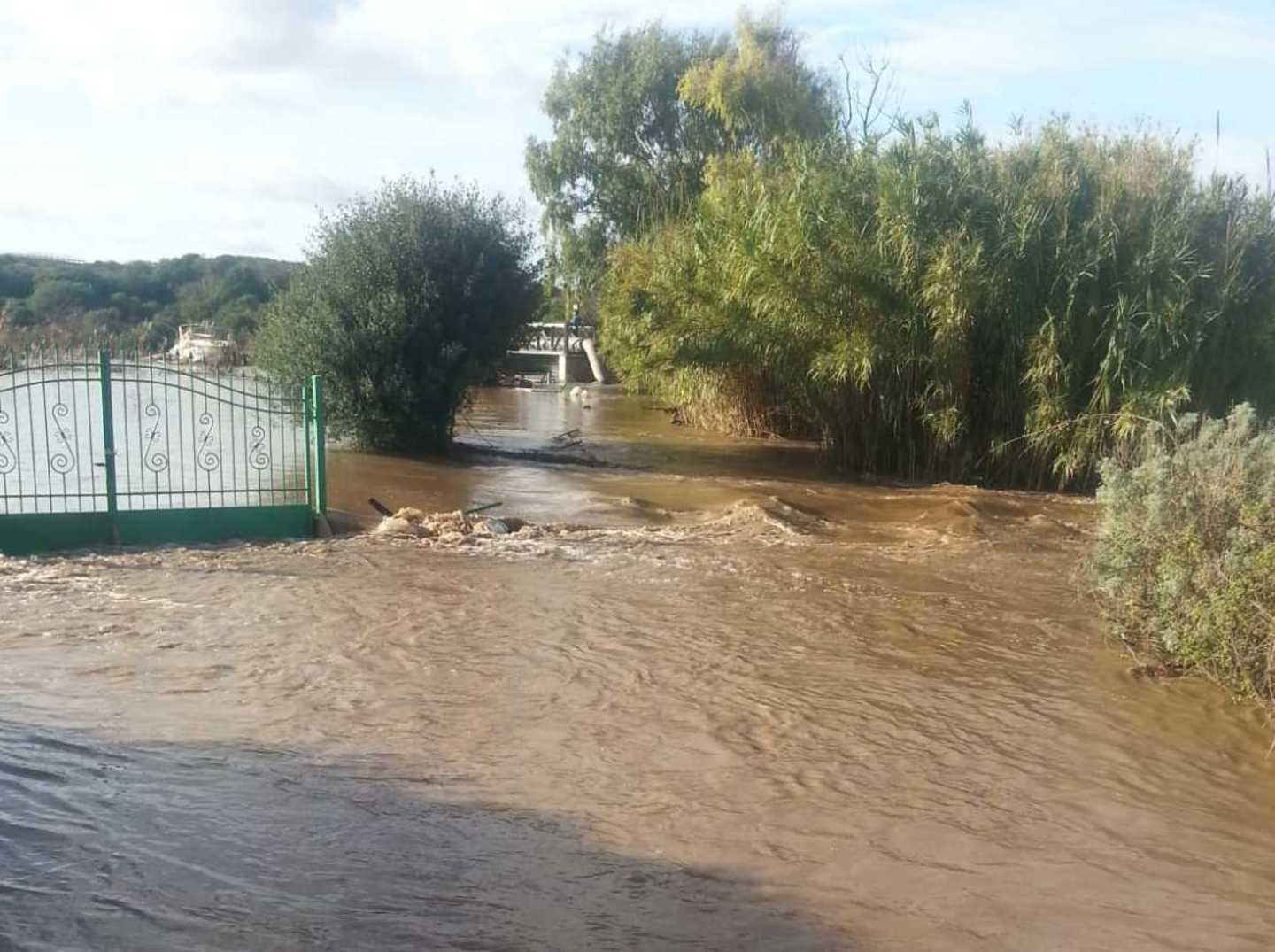 «Stato di calamità per il comparto agricolo» 
