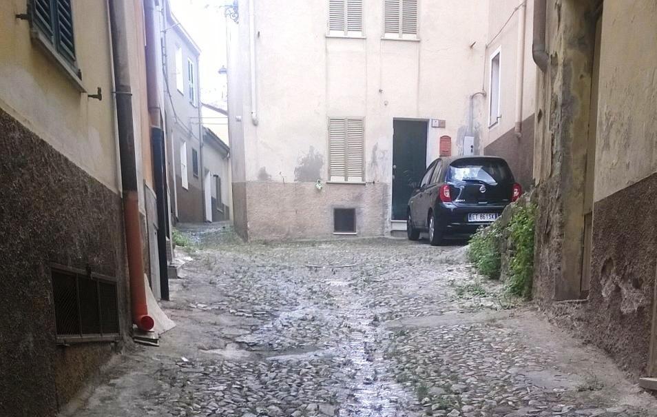 Topi al centro storico, è allarme 