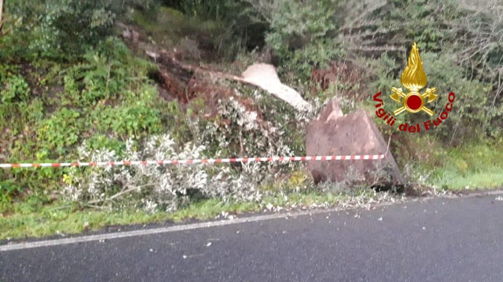 Busachi, albero sulla provinciale 11: intervengono i vigili del fuoco