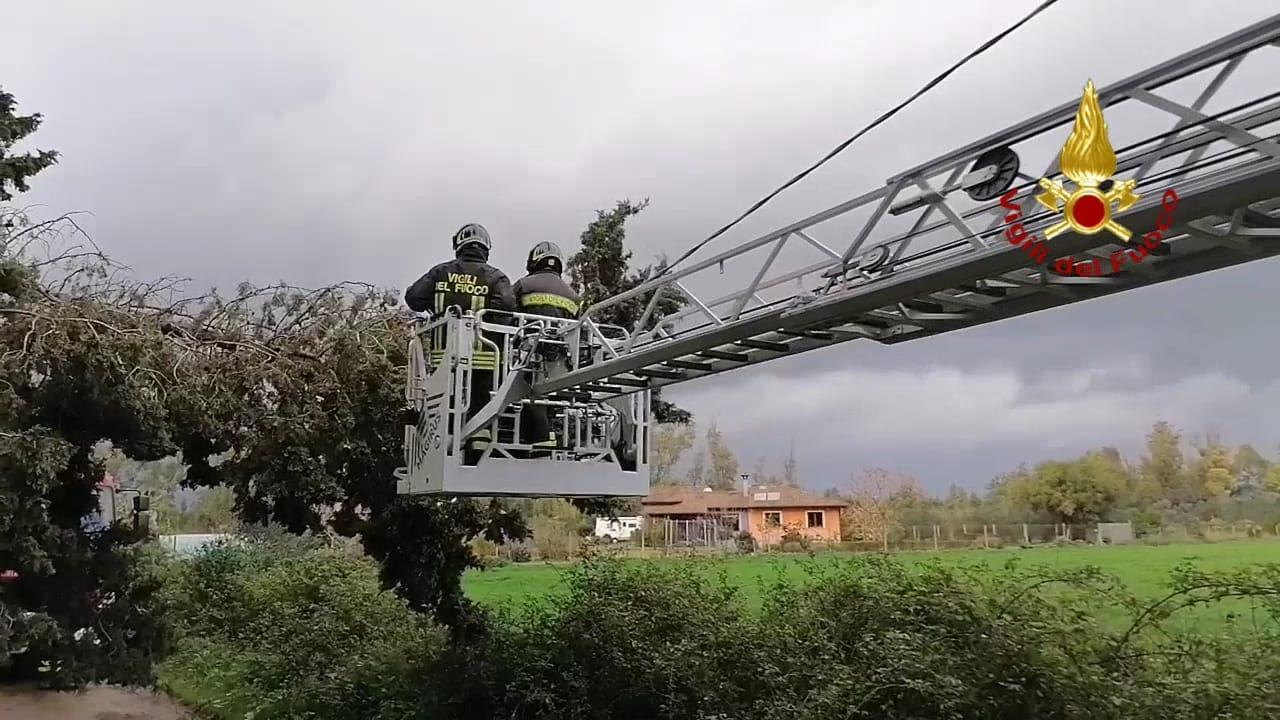 Tromba d'aria nel Cagliaritano: danni ingenti alle aziende agricole