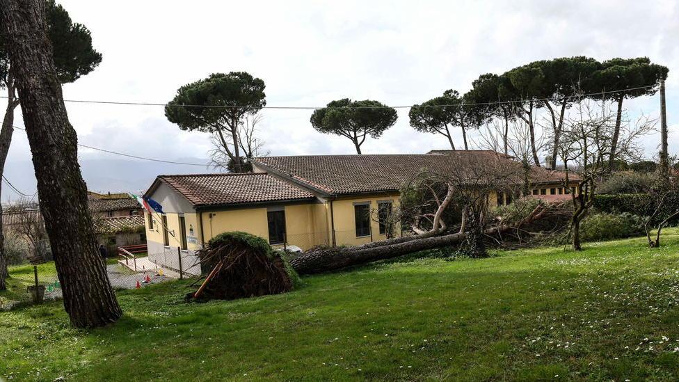 Caduto un grosso albero vicino alla scuola dell’infanzia
