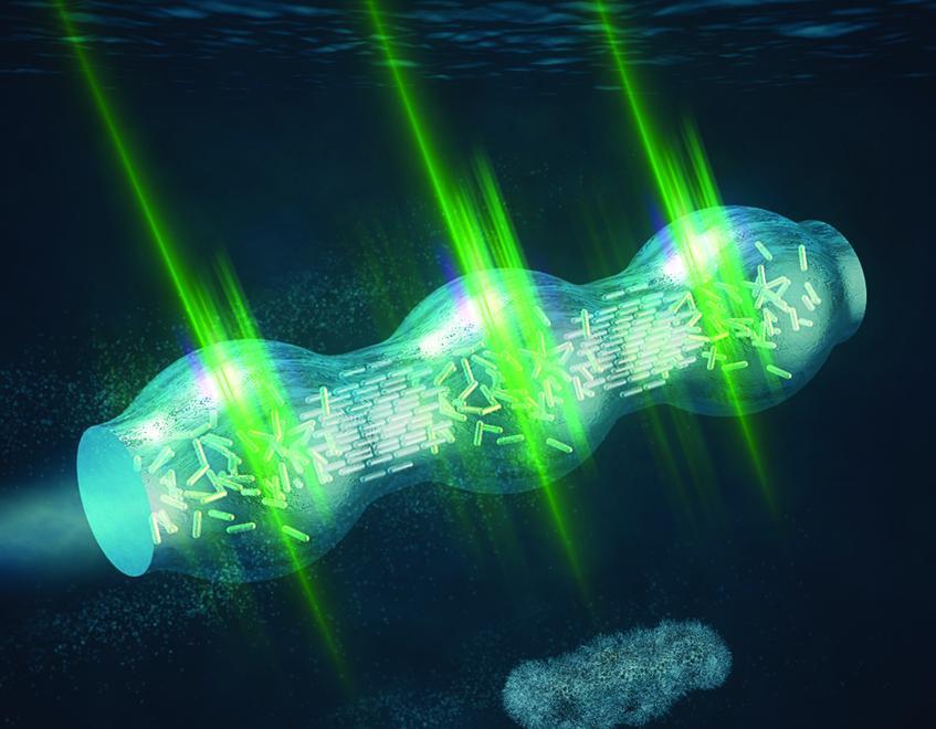 Ecco i microrobot come cellule per monitorare il corpo umano 