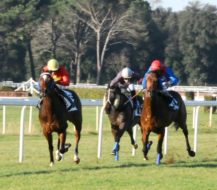 Giannessi, Montersoli e Fra Diavolo le corse di centro a San Rossore