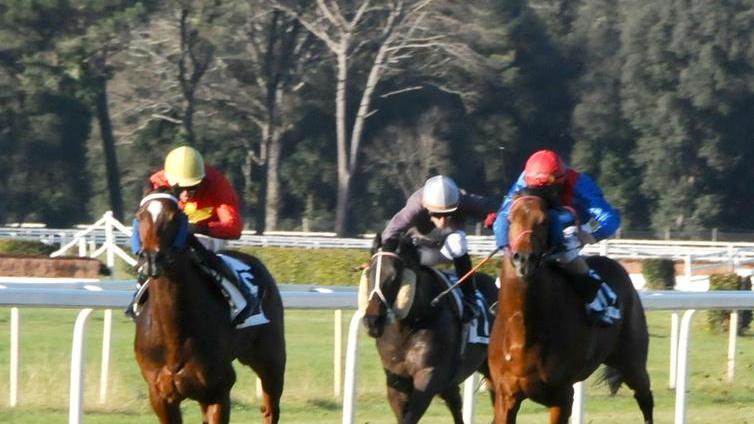 Giannessi, Montersoli e Fra Diavolo le corse di centro a San Rossore