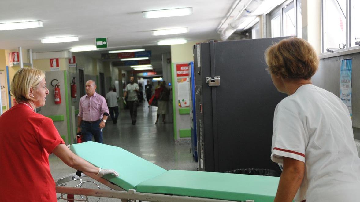 Sos infermieri in tutta l’isola anche neolaureati per privati e Rsa