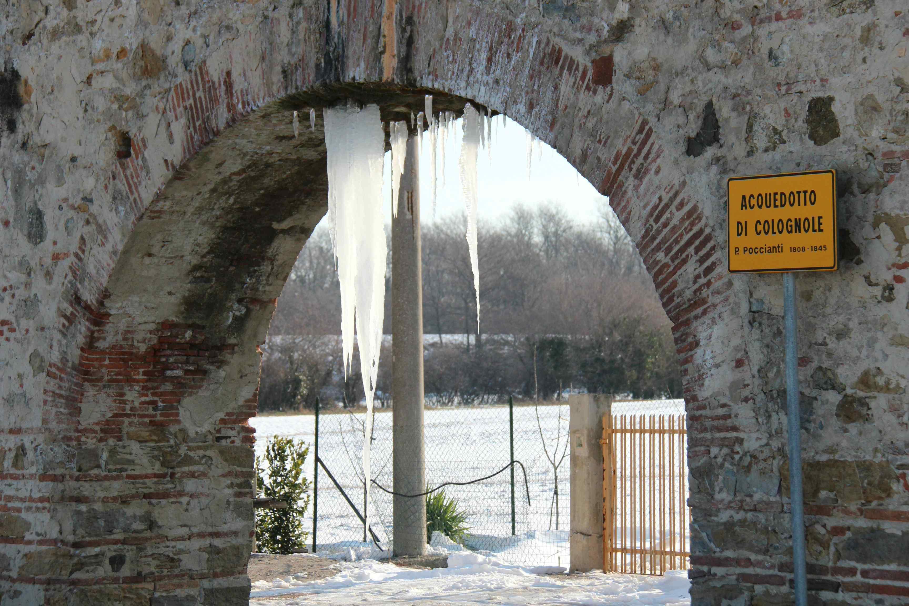 Maltempo, c'è il rischio nevicate anche a Livorno: sabato scuole chiuse     